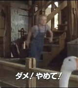 lovely-dakota-charlottes-web-japanese-trailer-43.jpg