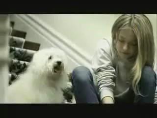 lovely-dakota-ad-2007-divided-we-fail-09.jpg