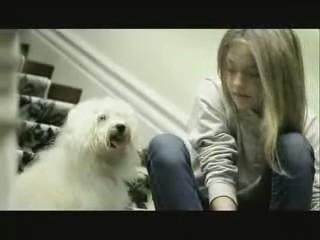 lovely-dakota-ad-2007-divided-we-fail-10.jpg