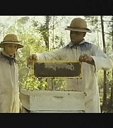 lovely-dakota-hbo-secret-life-bees-2008-192.jpg