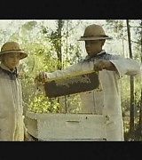 lovely-dakota-hbo-secret-life-bees-2008-193.jpg