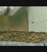 lovely-dakota-hbo-secret-life-bees-2008-217.jpg