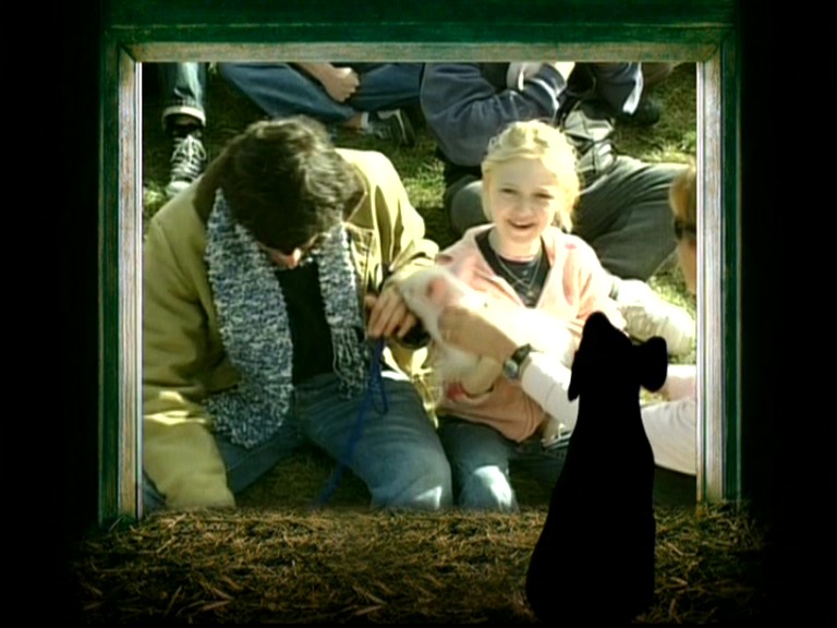 lovely-dakota-charlottes-web-dvd-flackas-pig-tales-04.jpg