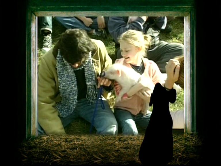lovely-dakota-charlottes-web-dvd-flackas-pig-tales-09.jpg