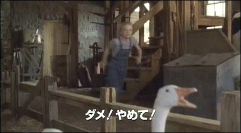 lovely-dakota-charlottes-web-japanese-trailer-43.jpg