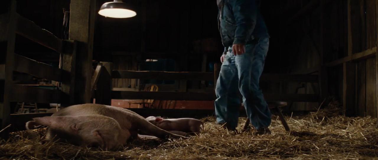 lovely-dakota-charlottes-web-screen-capture-0028.jpg