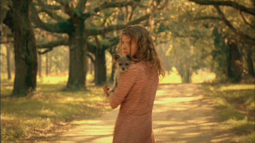 lovely-dakota-hounddog-screen-capture-2335.jpg