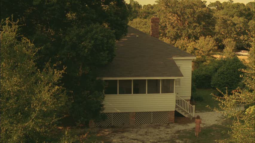 lovely-dakota-hounddog-screen-capture-2373.jpg