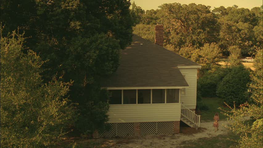 lovely-dakota-hounddog-screen-capture-2374.jpg