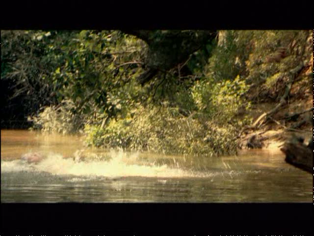 lovely-dakota-hounddog-theatrical-trailer-008.jpg