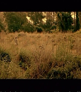 lovely-dakota-hounddog-theatrical-trailer-046.jpg