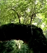 lovely-dakota-hounddog-trailer-017.jpg