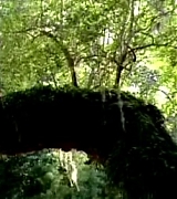 lovely-dakota-hounddog-trailer-018.jpg