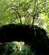 lovely-dakota-hounddog-trailer-020.jpg