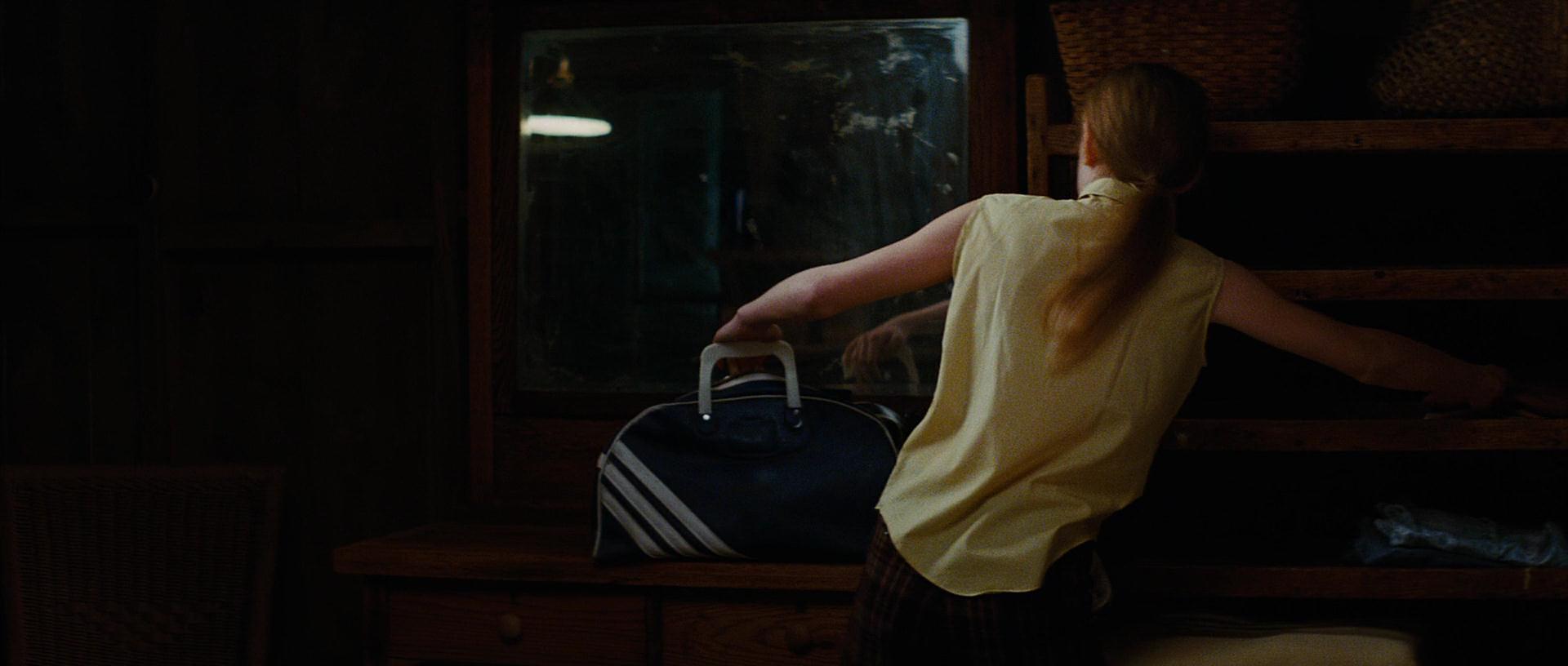 lovely-dakota-secret-life-bees-screen-capture-0906.jpg