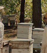 lovely-dakota-secret-life-bees-screen-capture-0730.jpg