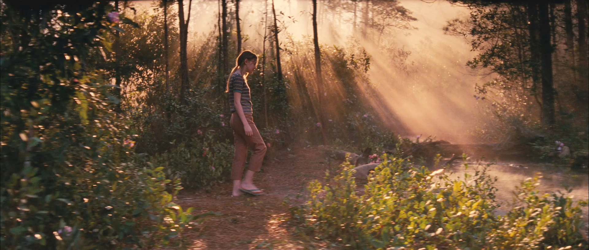 lovely-dakota-secret-life-bees-trailer-045.jpg